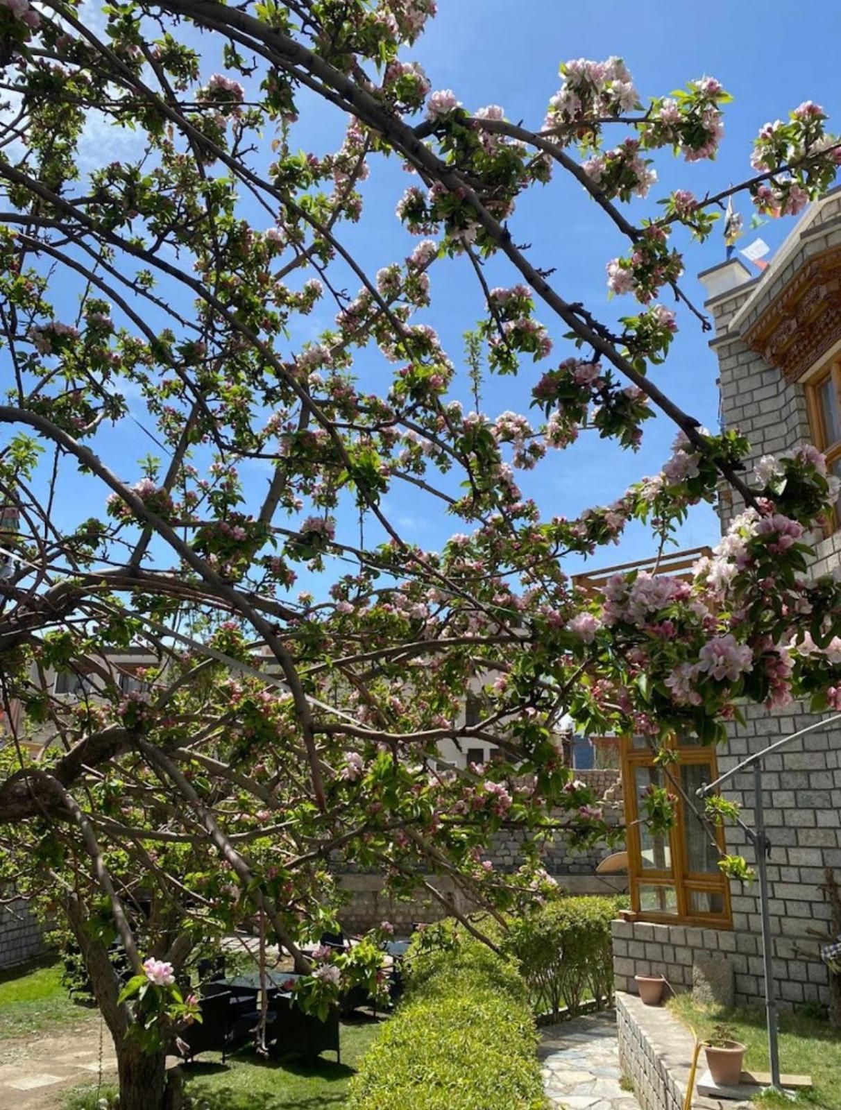 Hotel Lumbini Leh Exterior foto